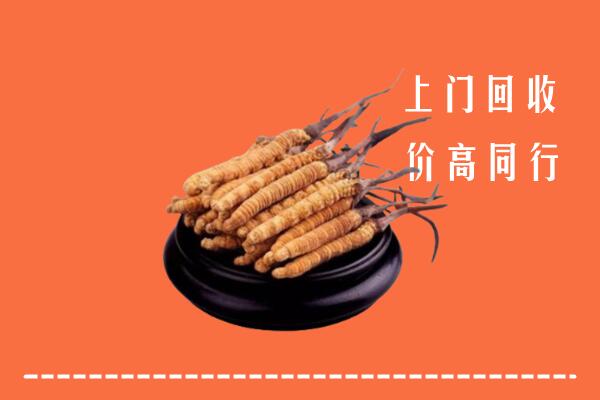 高价求购：洛扎回收散虫草