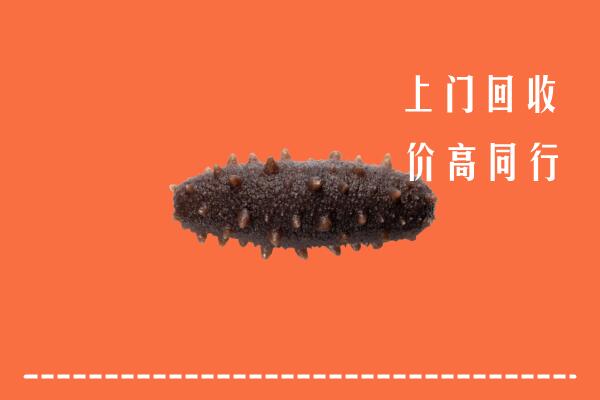 高价求购：洛扎回收海参